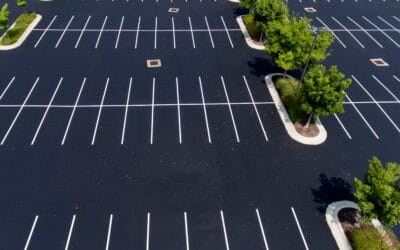 How Tree Roots Can Damage Asphalt Pavement?